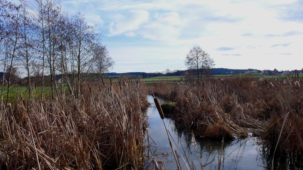 Just like Spring: Panasonic DMC-LX2; f/5.6; 1/250s; ISO 100; Developed with GIMP