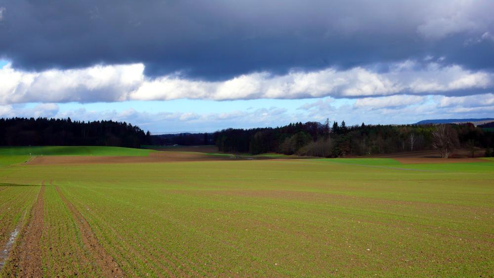 Landscape: Panasonic DMC-LX2; f/5.6; 1/400s; ISO 100; Developed with GIMP